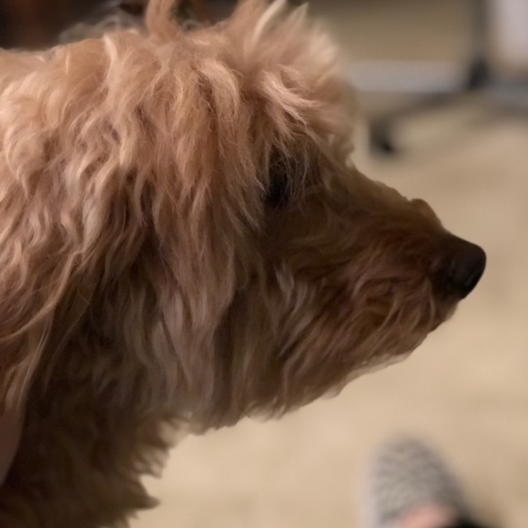 Meet your Posher, Michael - Picture 1 of 1